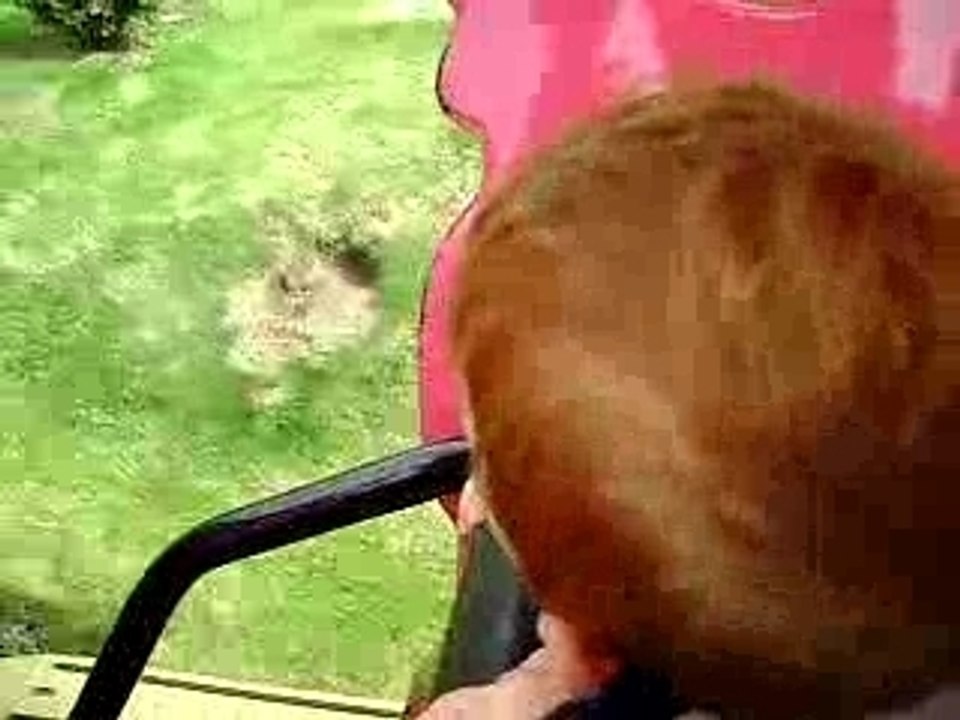 GABRIEL HADET ET LE PETIT TRAIN
