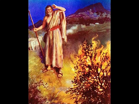 Sacred Geometry - Episode 16: Prophecy