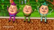 Animal Finger Family 2 - Finger Family Song - 3D Animation Nursery Rhymes & Songs for Chil