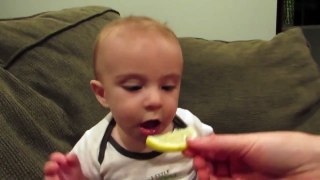 Ребёнок впервые пробует лимон