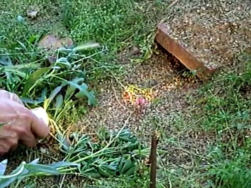 Il pointe un faisceau lumineux dans cette direction, et appelle quelque chose. Lorsque vous verrez qui répond ? Wow !