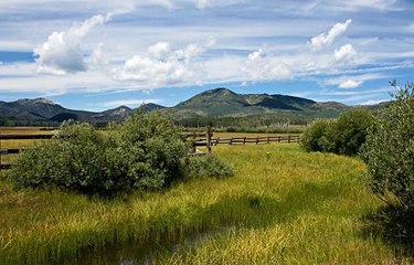 스타실시간중계 ≪superCAR123,COM(코드:6623)≫め축구실시간중계 해외양방방법