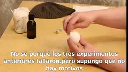 He aquí cómo hacer un homúnculo - Dailymotion