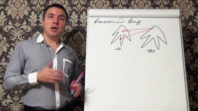 Евгений Грин — Подготовка самого себя перед соблазнением девушки