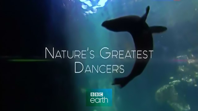 BBC Танцы дикой природы 2 серия. Танец любви (2015)