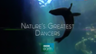 BBC Танцы дикой природы 1 серия. Танец жизни (2015)