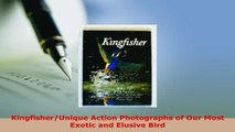 PDF  KingfisherUnique Action Photographs of Our Most Exotic and Elusive Bird Free Books