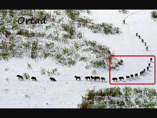 Yazmak İçin Bir Milyon Neden - Facebook