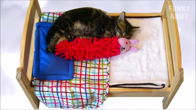 Funny videos 2016 Try not to laugh or Grin (Challenge Impossible) - Funny Pranks - LOL FUNNY ARMY