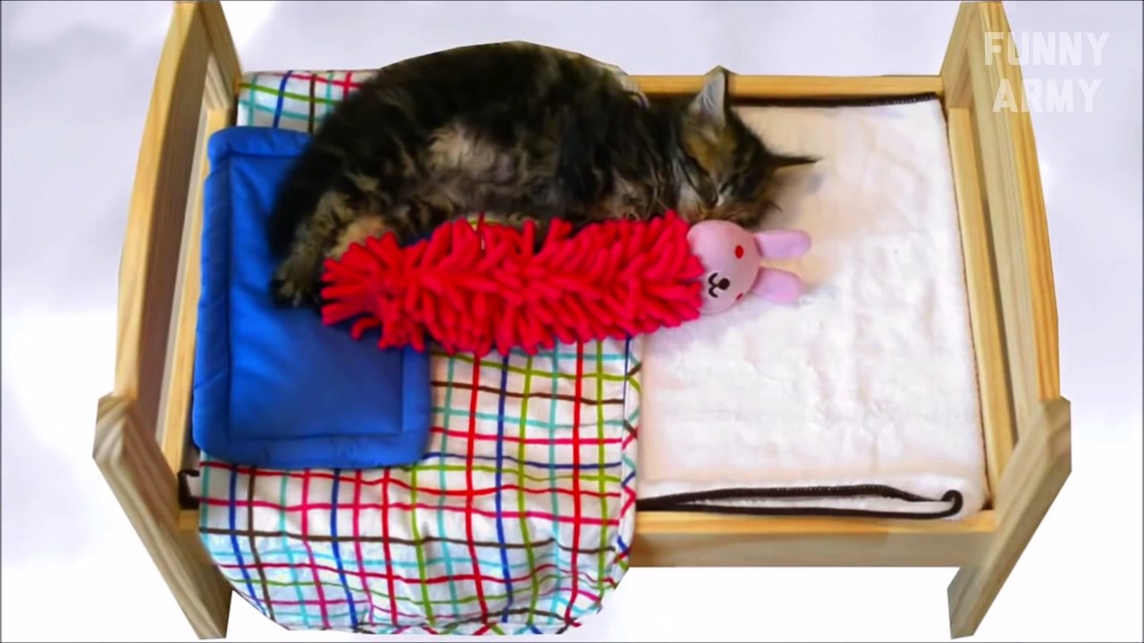 Funny videos 2016 Try not to laugh or Grin (Challenge Impossible) - Funny Pranks - LOL    FUNNY ARMY