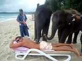 Massages thailandais (1)