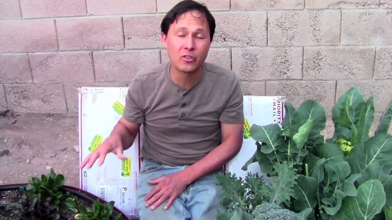 #1 Key to My Success: Rock Dust and Soil Remineralization