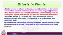 Mitosis in Plants