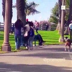 very funny comedy must watch share