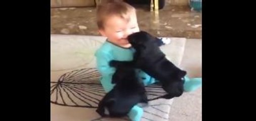 Cute Baby Playing With RabbitsFunny Whatsapp Video | WhatsApp Video Funny | Funny Fails | Viral Video