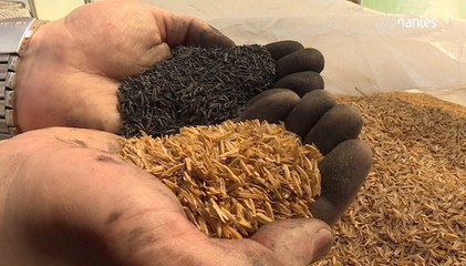 Terreaux : La Florentaise soigne sa R&D