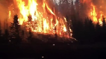 Gli spaventosi incendi che stanno devastando il Canada