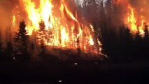 Gli spaventosi incendi che stanno devastando il Canada