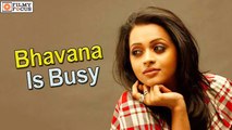 Bhavana Is Busy With Back To Back Movies In Malayalam!- Filmyfocus.com