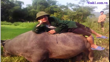 Bài Hát Cái Sự Đời Chế Khiến Nhiều Người Suy Ngẫm