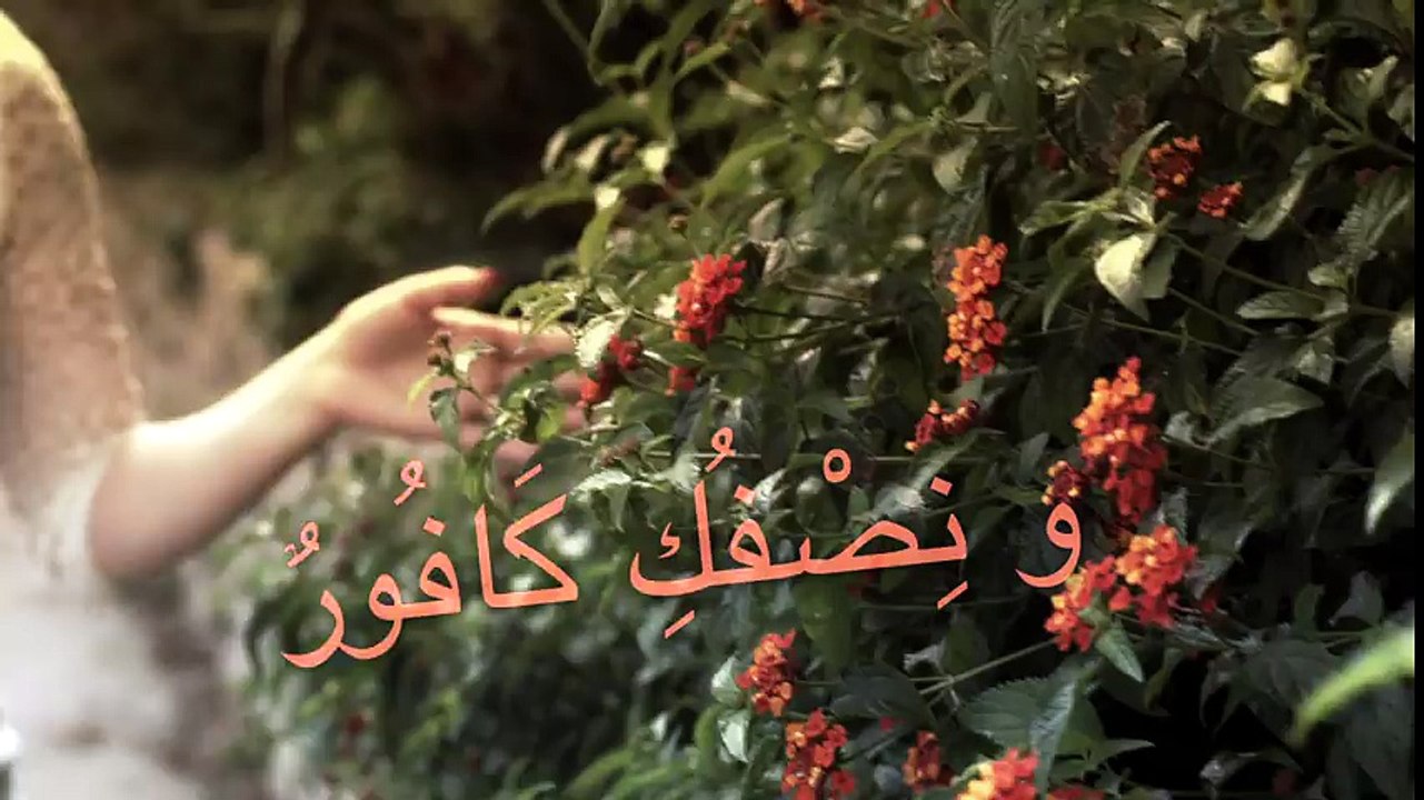 عبد الرّحمن محمّد شبيهكِ