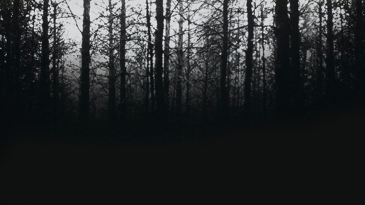 The Blair Witch Project | OFFICIAL TRAILER [HD]