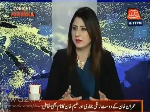 Talal Chaudhry reveals for the first time how many people Maryam Nawaz's media cell consist of and what they do