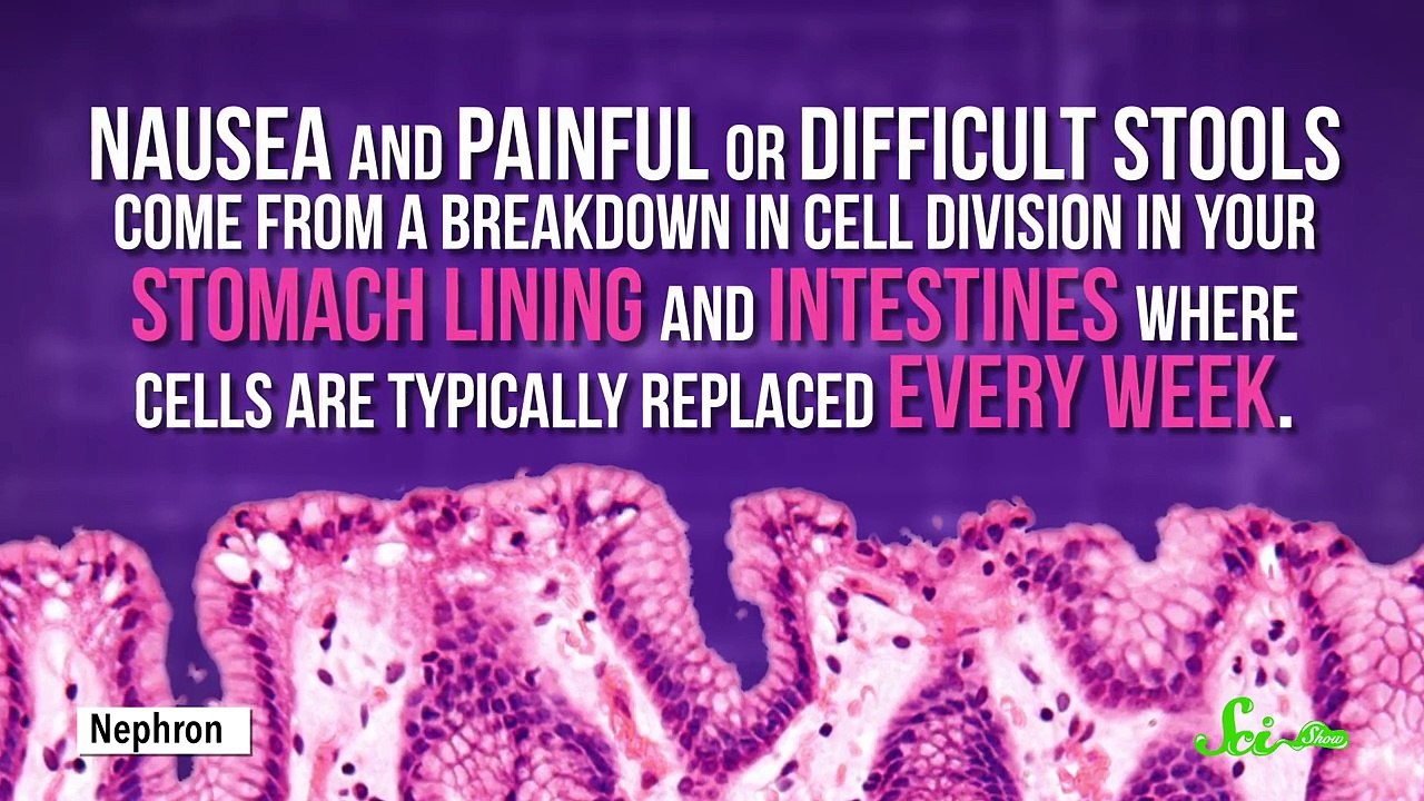 Genetically Engineered Cancer-Fighting Algae