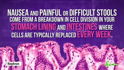 Genetically Engineered Cancer-Fighting Algae