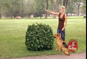 JFL Hidden Camera Pranks & Gags: Ultimate Dog Joke