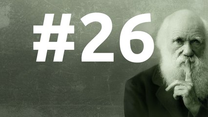 SLEDD#26 du 19 mars 2011, La course de la Reine rouge (3)