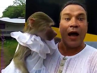 Monkey and Guy Screaming FUNNY !!! :)