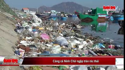 NINH THUẬN- Cảng cá Ninh Chữ ngập tràn rác thải