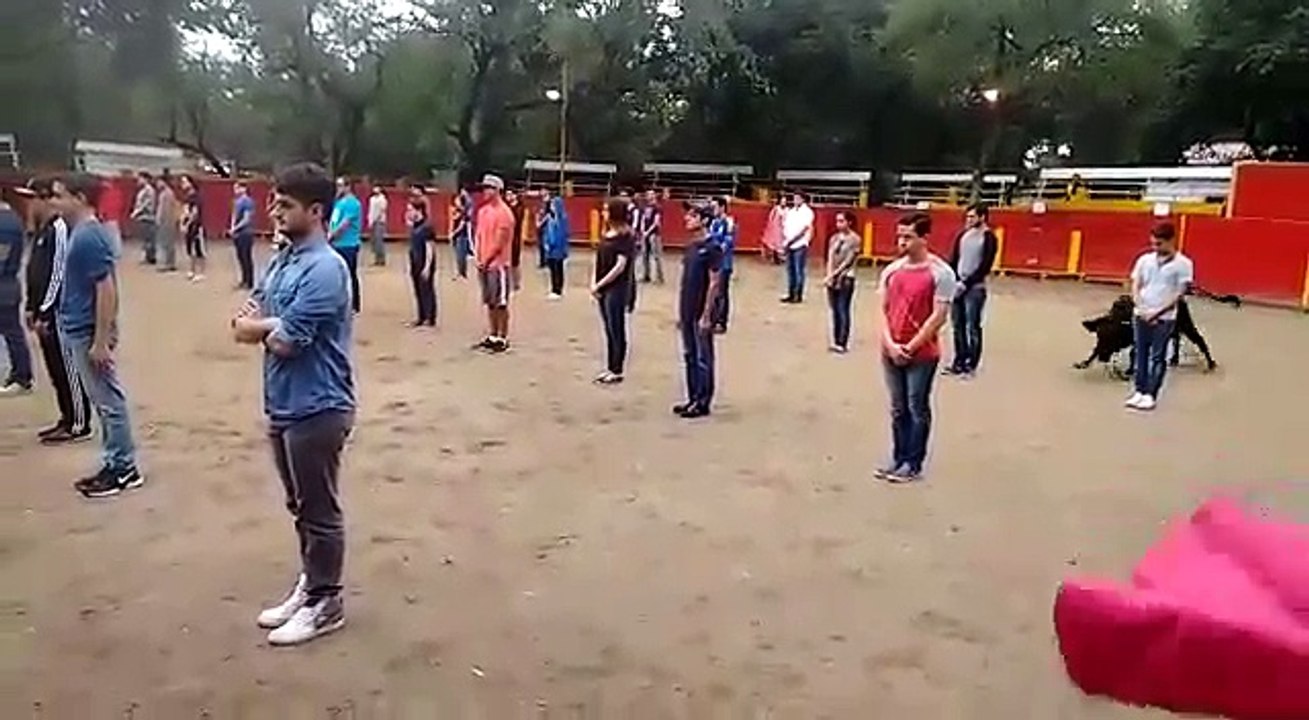 Surprenant de voir la réaction de ce taureau dans une arène remplie d'étudiants