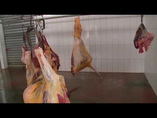 Viçi i ngordhur në thertore, AKU bllokon aktivitetin - Top Channel Albania - News - Lajme