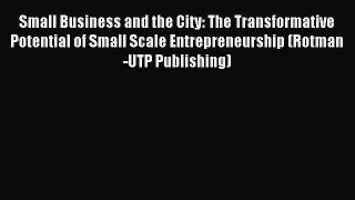 PDF Small Business and the City: The Transformative Potential of Small Scale Entrepreneurship