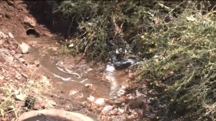 Dbp'li Belediyeye Kanalizasyon Tepkisi