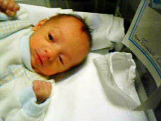 gemellini traesio 27 gennaio 2009