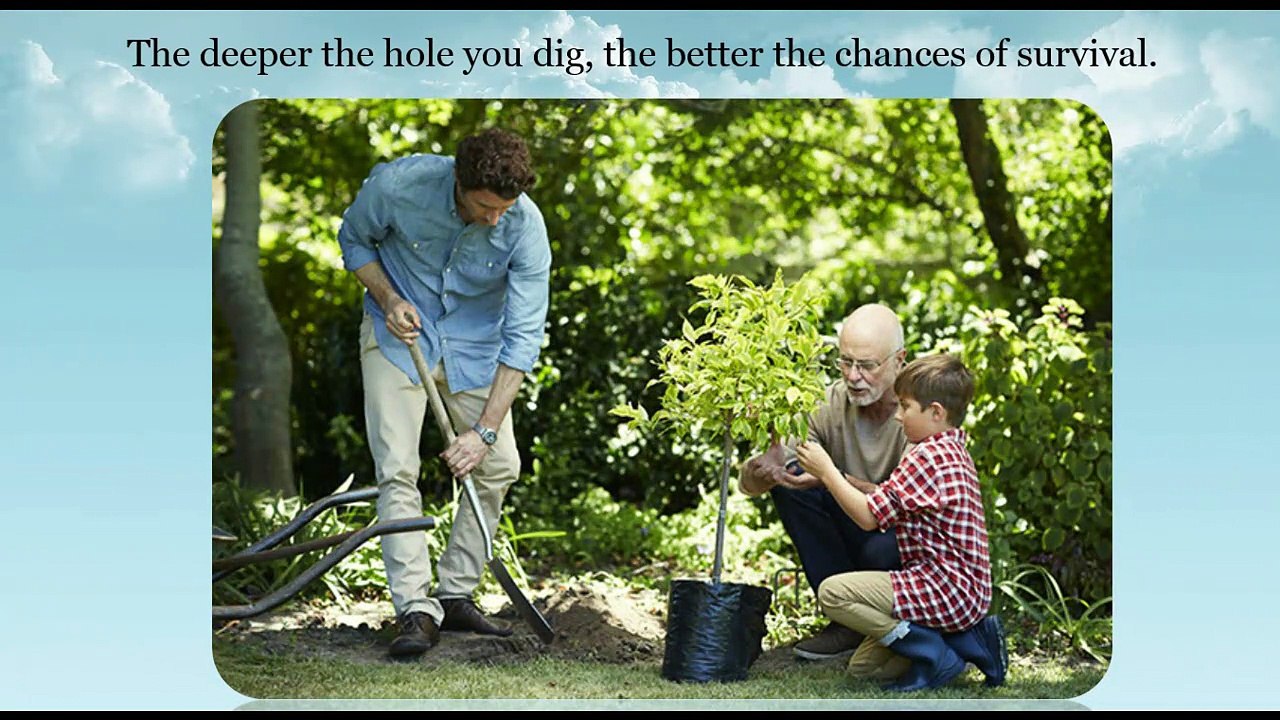 Have you been thinking about planting trees?