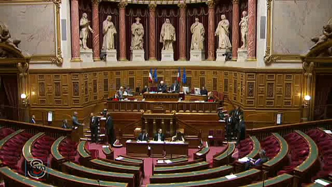 Politique forestière en Seine-Maritime : " Les propriétaires ont besoin d'être rassurés sur les financements ! "