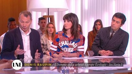 Denis Baupin surnommé le DSK vert au sein de son parti