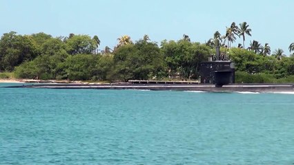 Popular Videos - Corpus Christi & United States Navy