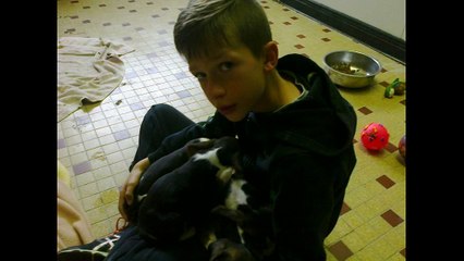 À 11 ans, il sauve des chiots de la noyade