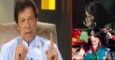 Imran Khan first time reply to Qandeel Baloch and stage drama actress Aini Khan
