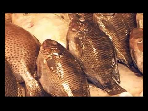 Teaser 5 มหานิยม อาหารทะเล OA 100256