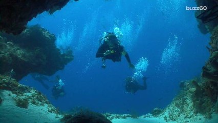 Abalone Diving Proves to be a Dangerous Hobby
