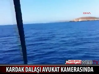 Kardak Dalaşı