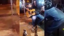 Tout le monde ignorait ce musicien, puis 4 spectateurs inattendus sont arrivés… Trop mignon!