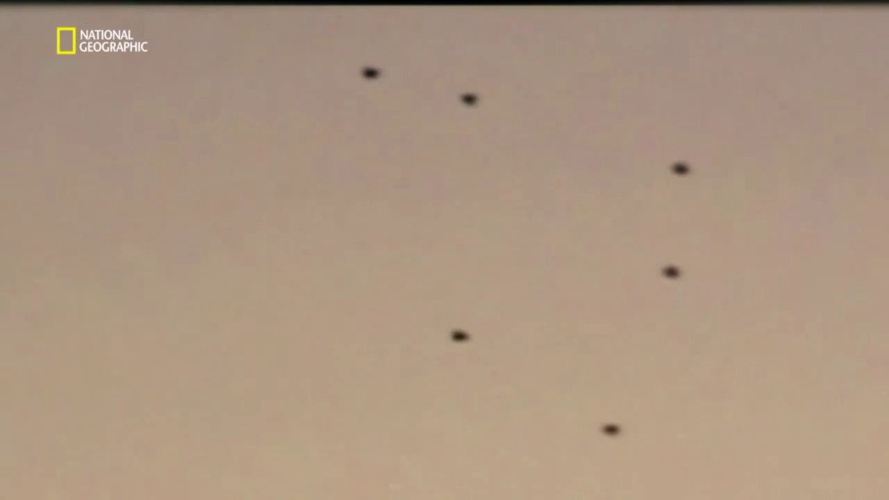 Chasseurs d'ovnis ( Chasing ufos ) - Les lumières de Phoenix