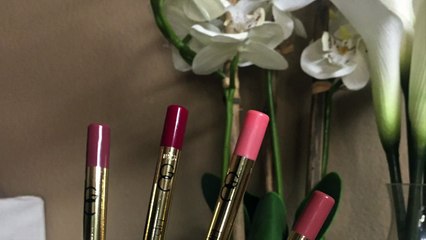 New Gerard Cosmetics Lip Pencils